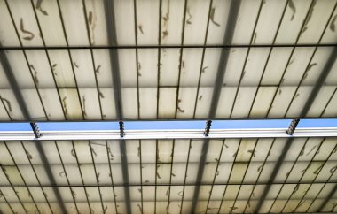 Oluklu paneller ve metal kirişlerden yapılmış şeffaf bir çatının detaylı görüntüsü, doğal ışığın yapıyı süzmesine olanak sağlıyor.