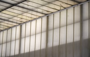 Oluklu paneller ve metal kirişlerden yapılmış şeffaf bir çatının detaylı görüntüsü, doğal ışığın yapıyı süzmesine olanak sağlıyor.