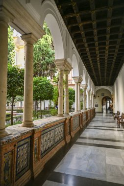 Sevilla Güzel Sanatlar Müzesi 'nde mermer sütunlar ve portakal ağaçları olan kemerli manastır koridoru.