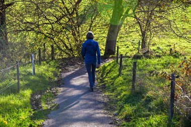Uster yakınlarında güneşli bir kırsal yolda yürüyen kişi yeşil tarlalar, sonbahar ağaçları ve sıcak öğleden sonra ışığı altında uzak evlerle çevrili.
