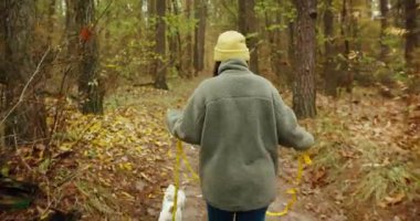 Sarı bereli ve yün ceketli, iki köpeği tasmalı bir köpek ve bir köpeği patikada gezdirirken arkasından tanınmayan genç bir kadını takip eden bir fotoğraf.