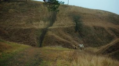Bir tripodun geniş açılı görüntüsü, mutlu, gülen genç bir çifti ve pug köpeklerini büyük, manzaralı bir sonbahar vadisinde kameraya doğru koşarken takip ediyor. Erkek ve kadın.