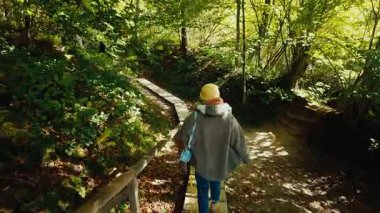 Güzel bir sinematik izleme sahnesi, sarı bereli ve ceketli bir kadını, küçük köpeği Beagle veya kırmızı kazaklı Jack Russell 'la yürürken takip ediyor.