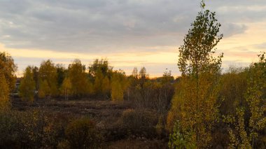 Batan güneşin arka planında sarı ve turuncu yapraklarla kaplı bir sonbahar manzarası, ılık ışık, sonbahar renkleri ve huzurlu bir atmosferi birleştiren doğal bir manzaradır..