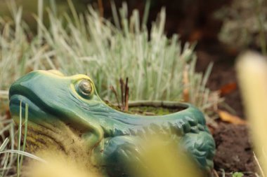 Çimenler arasında bahçe dekoru olarak seramik bir kurbağa, çevre dostu tasarım, DIY projeleri ve iç tasarımda ilham için özgün bir unsurdur..
