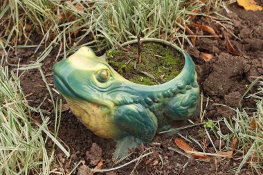 Çimenler arasında bahçe dekoru olarak seramik bir kurbağa, çevre dostu tasarım, DIY projeleri ve iç tasarımda ilham için özgün bir unsurdur..