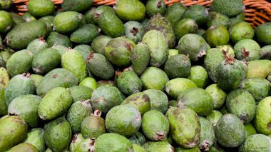 Dokuma sepetindeki taze feijoalar mutfak blogları, eko-tasarım, eğitim malzemeleri ve meyve ürünü reklamları için doğal tropikal hasat..