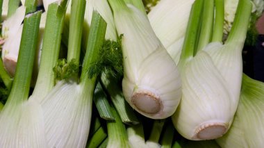 Yeşil saplı taze rezene mutfak blogları, eko-tasarım, gastronomik projeler ve eğitim materyalleri için güzel kokulu bir sebze.