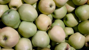 Gıda blogları için doğal mevsimsel meyveler, sağlıklı beslenme reklamları, eko-tasarım ve ürün ambalajları için yeşil elmaların yakın plan çekimi