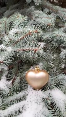 Altın kalp şeklinde bir yeni yıl süsü kış sessizliğinde kozalaklı bir ağacın karla kaplı dalında sallanıyor..