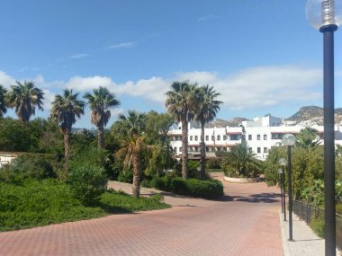 Güneşli Bodrum 'daki beyaz Akdeniz binalarının yakınında palmiye ağaçları ve siyah fenerlerle kaplı bir ara sokak.