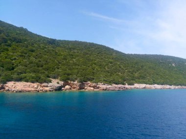 Turquoise coastline with light-colored cliffs and wooded hills under clear skies in Bodrum
