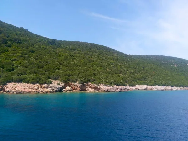 Turquoise coastline with light-colored cliffs and wooded hills under clear skies in Bodrum