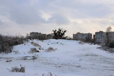 Yüksek binaları olan karla kaplı şehir manzarası, buzlu bir ağaç, lastik izleri ve kış gökyüzünün altındaki bitki örtüsü.