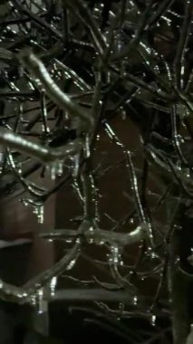 Buz gibi ağaç dalları ve buz saçakları gece ışığında karlı bir kış manzarasının arka planında parlıyor atmosferik mevsimsel bir manzara.