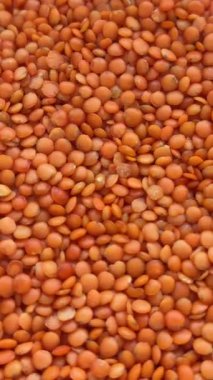 Kırmızı mercimek, organik bir baklagil süper yiyeceği, sağlıklı beslenmenin, mutfak tasarımının ve beslenme kavramlarının bir zeminine karşı döndürerek..