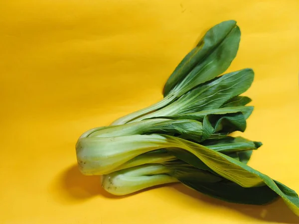 Taze organik bok choy, Pak choy, veya Çin lahanası, sarı arka planda izole edilmiş. Sağlıklı yemek fotoğrafçılığı fikri. Yakın plan. Uzayı kopyala Seçici odak.