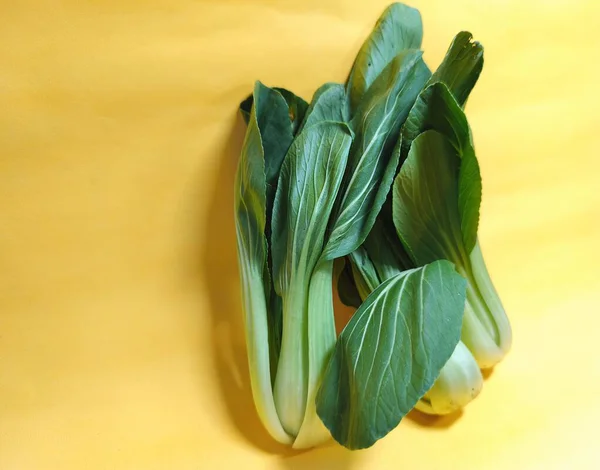 Sarı arka planda yeşil bok choy. Taze ve sağlıklı sebze fotoğrafçılığı fikri. Yakın plan. Boşluk. Seçici odak.