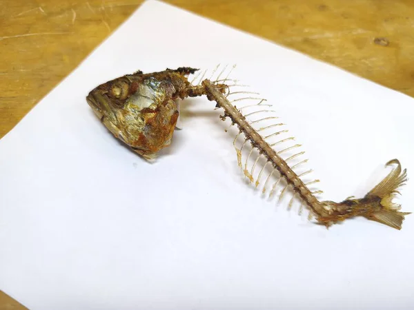 Beyaz arka planda kızarmış balık kemikleri. Yemek artıkları. Vücudunda gözleri, dudakları ve kemikleri olan eşsiz bir kafa şekli. Sanat yemeği fotoğrafçılığı fikri. Kapatın. Seçici odaklanma. Boşluğu kopyala.