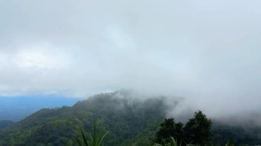 Sisin güzel dağlarda yuvarlanışının hızlandırılmış videosu. Barışçıl ve güzel doğa maceralarının sinematik bir konsepti. Harika Endonezya 'nın bir parçası olarak Bukit Menoreh' deki konum.
