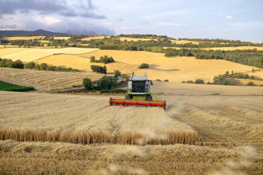 ... tarlada çalışan biçerdöveri birleştirin.