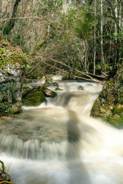 Ormanda güzel bir şelale
