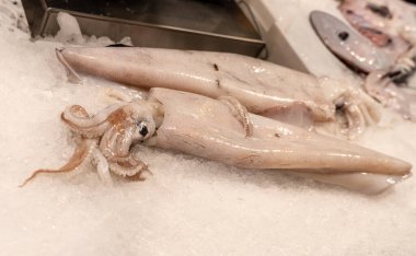 Markette taze kalamar