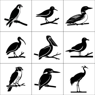 Dokuz farklı kuş türünden oluşan bir koleksiyon. Siyah ve beyaz olarak gösterilmiş ve ızgara biçiminde düzenlenmiş.