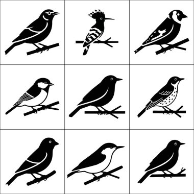 Siyah beyaz dokuz kuş siluetinden oluşan bir koleksiyon. Her biri bir şebeke deseninde bir dala tünemiş..