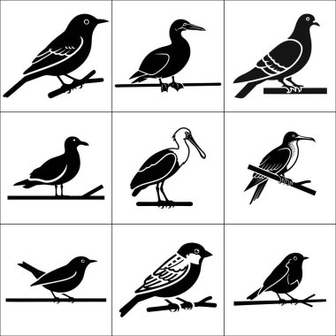 Dokuz siyah beyaz kuş çiziminden oluşan bir ızgara, her biri bir dala tünemiş, vektör tarzı bir tasarım.