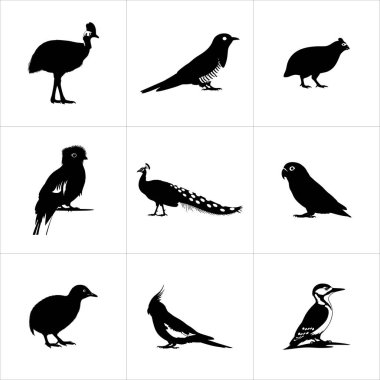 Bir tavus kuşu, ağaçkakan ve papağan da dahil olmak üzere dokuz kuş siluetinden oluşan bir ızgara, siyah ve beyaz olarak sunuluyor.