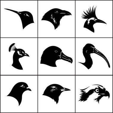 Kuş kafalarının altı siyah silueti, abartılı, son derece stilize edilmiş ve dramatik baş ibikleriyle karakterize edilir..