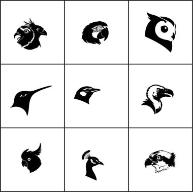 Kuş kafalarının altı siyah silueti çoğunlukla küçük ötücü kuşların kısa gagaları ve pürüzsüz yuvarlak hatlarıyla resmedilmiş..