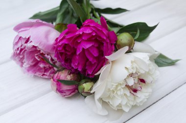 Beyaz bir arka plan üzerinde güzel çok renkli peonies