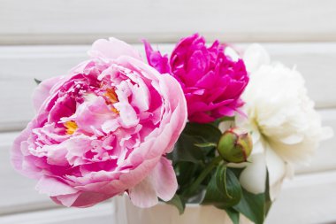 Beyaz bir arka plan üzerinde güzel çok renkli peonies