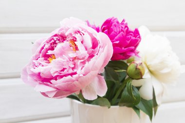 Beyaz bir arka plan üzerinde güzel çok renkli peonies