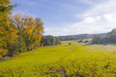 Yaz sonlarında bir peri masalı ormanı sıcak güneş ışığı altında parlar. Yeşiller yemyeşil ağaçlar, yumuşak ışık ve huzurlu doğa huzur, gizem ve doğal güzelliklerle dolu büyülü bir atmosfer yaratır..