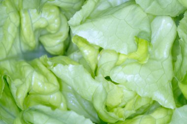 Taze yeşil bir marul yaprağının yakın çekimi ince yapıyı, doğal dokuyu ve canlı rengi gösteriyor. Makro detay tazeliği, organik büyümeyi ve sağlıklı doğal besinleri vurguluyor..