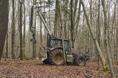 Ağır orman makineleri, küçük vinç kayma kütükleri ile donatılmış bir kazıcı ile bir ormanda çalışır. Ağaçlar arasında çalışan bir oduncu modern kereste toplama ve ahşap endüstrisi operasyonlarını resmediyor..