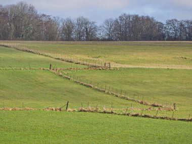 Yapraksız ağaçlar ilkbahar güneşinin ilk sıcak ışınlarını yakalarken yeşil çayırlar arazide yayılıyor. Sahne ilkbahar erken yenilenmesini, yumuşak ışığı ve doğanın sessiz uyanışını yansıtıyor..