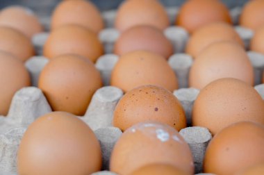 Yumurta kutusunda kahverengi yumurtalar