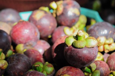 Market Sepetinde Yeşil Kök ve Calyx ile Taze Toplanmış Mor Mangosteen Fruit 'in Yakın Görüntüsü