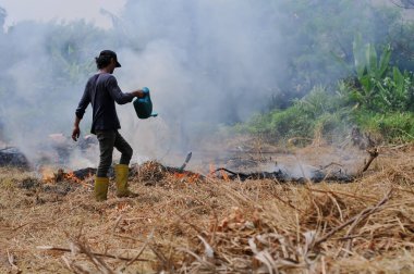 Riau-Endonezya, 20. Januari 2026: Gençler bahçeyi temizliyor ve çöpleri yakıyor