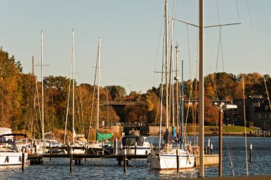 Beyaz yatların demirlediği bir liman. Baltık Denizi. Mavi su. Sıcak bir sonbahar gökyüzü.