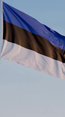 Estonya, Tallinn: Mavi Gökyüzüne Karşı Ulusal Sinema Dalgalanması