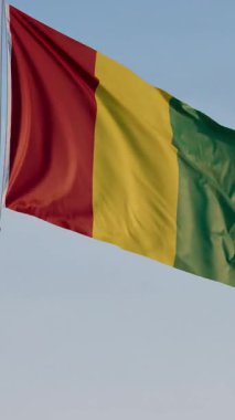 Gine, Conakry: Mavi Gökyüzüne Karşı Ulusal Sinema Dalgalanması