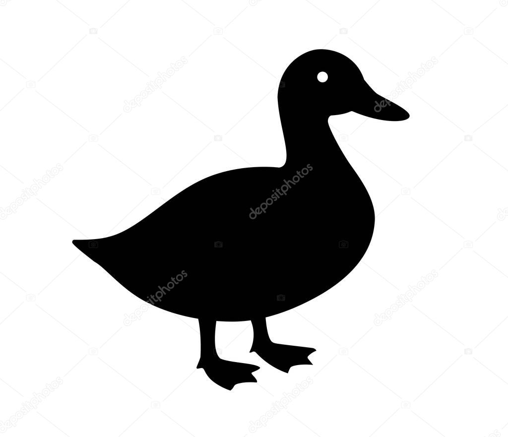 Black Duck Silhouette on White Background