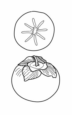 Çocuklar ve anaokulu için Persimmon boyama sayfası çizimi