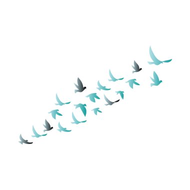 Flock of birds in flight, featuring teal, blue, and gray silhouettes against a white background. Dynamic composition symbolizing freedom, migration, and unity.