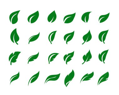 Doğayı, ekolojiyi, organik ürünleri, sürdürülebilirliği ve çevresel kavramları temsil etmek için mükemmel olan, beyaz zemin üzerinde 24 farklı yeşil yaprak vektör simgesinden oluşan bir koleksiyon..